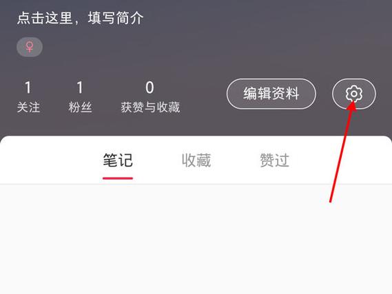 收藏夹整理工具_小红书业务网站_一键导出小红书收藏夹效果视频